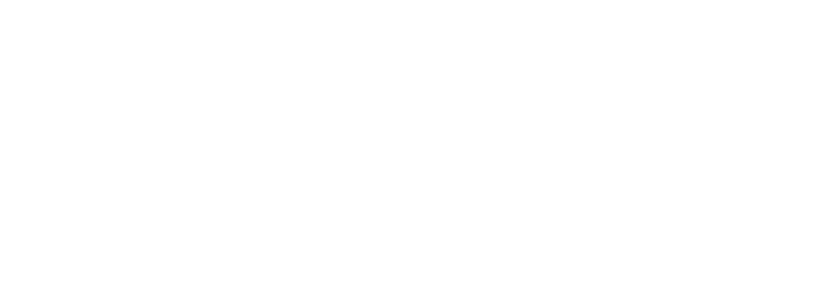 Berger & Associates Logo White